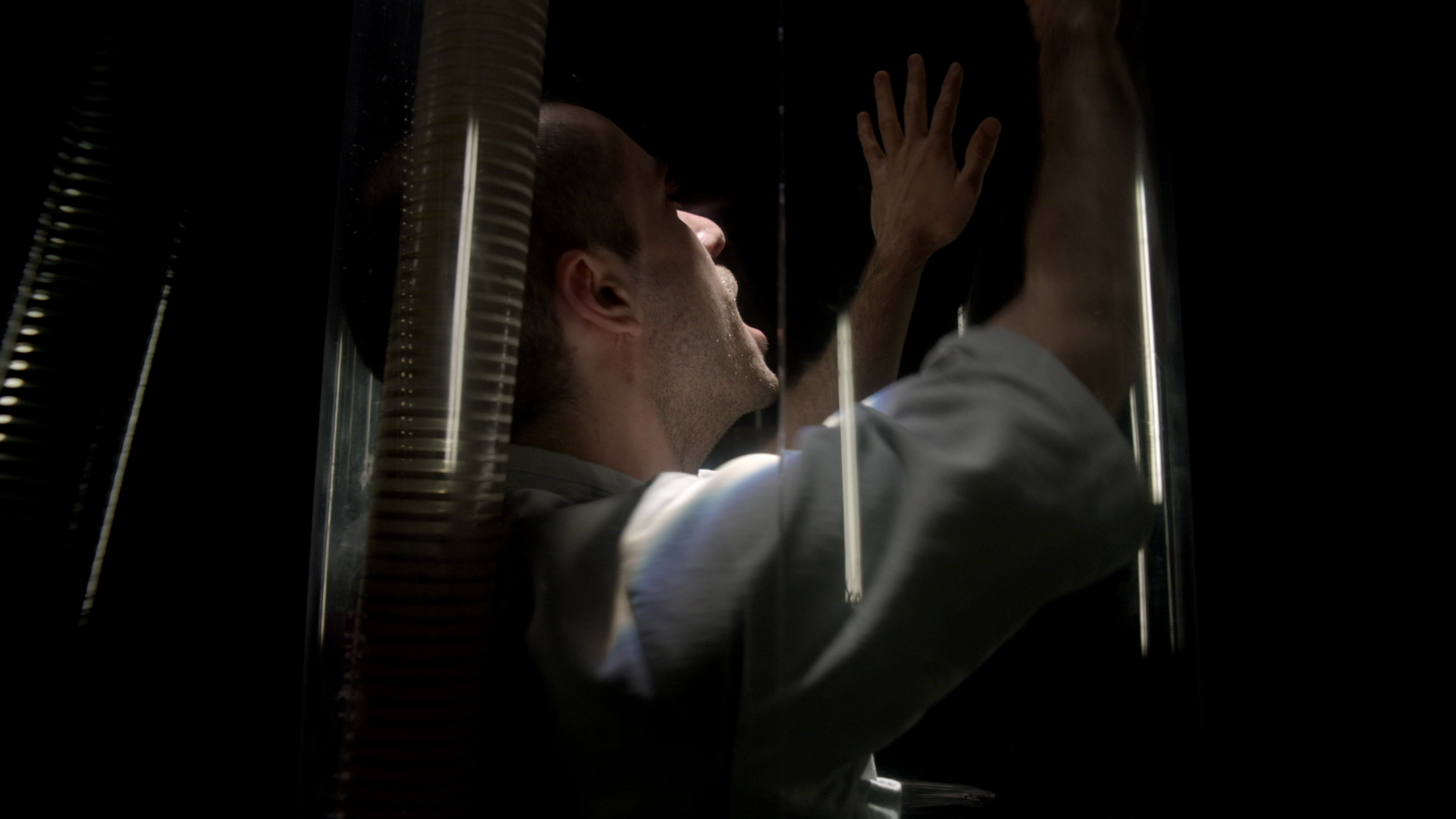 Stress Position Amy Belling Cinematographer